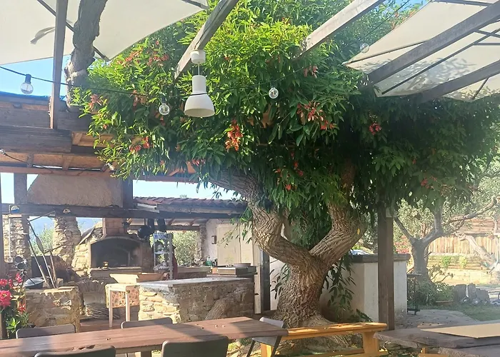 Albergo economico: Dimora Acqua del Fico