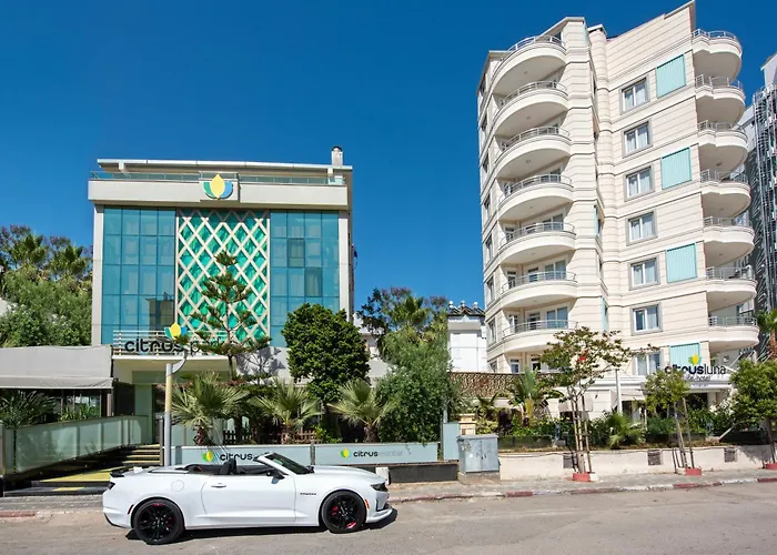 Citrus Park Hotel