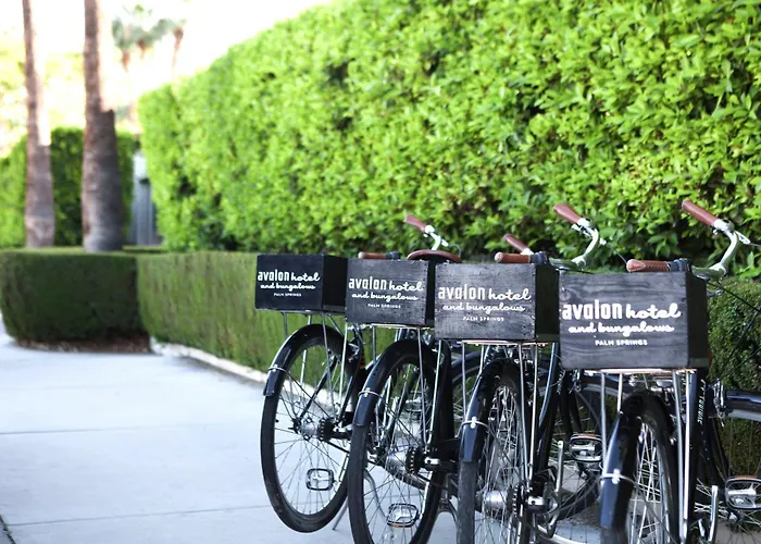 Avalon Hotel & Bungalows Palm Springs, A Member Of Design Hotels