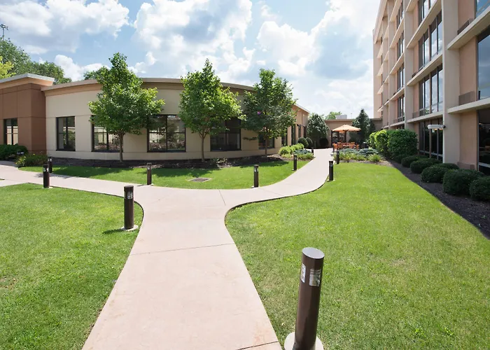 Pets Allowed Hotel Courtyard By Marriott Canton