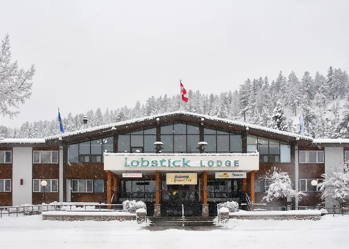 Trip to College Lobstick