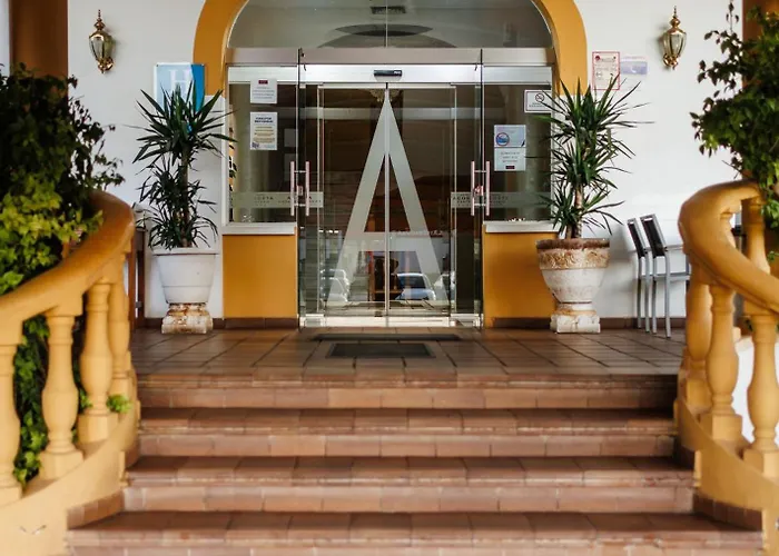 Perros hoteles Acosta Vetonia