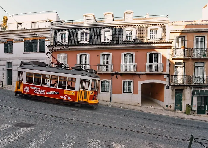 Lapa 82