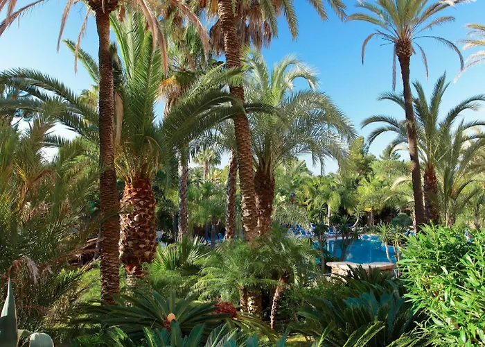 Ria Park Hotel & Spa