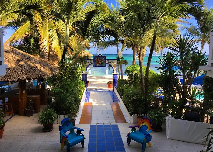 Сity center hotels Blue Tang Inn - Beachfront Suites And Pool