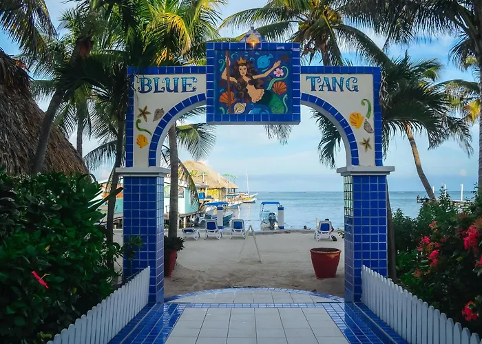 Сity center hotels Blue Tang Inn - Beachfront Suites And Pool