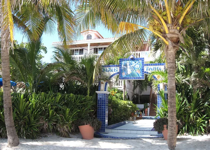 Сity center hotels Blue Tang Inn - Beachfront Suites And Pool