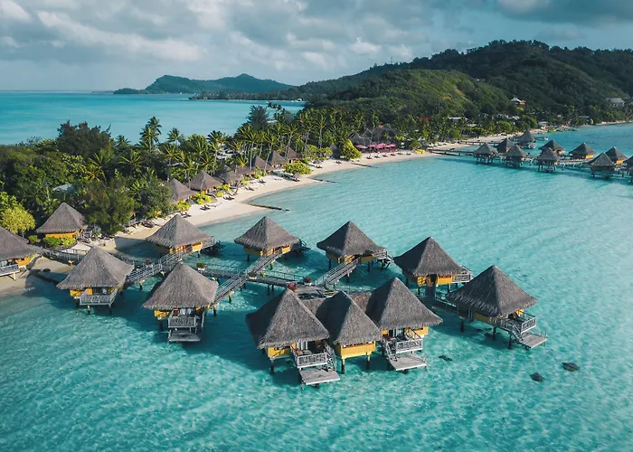 Animaux admis Intercontinental Bora Bora Le Moana By Ihg