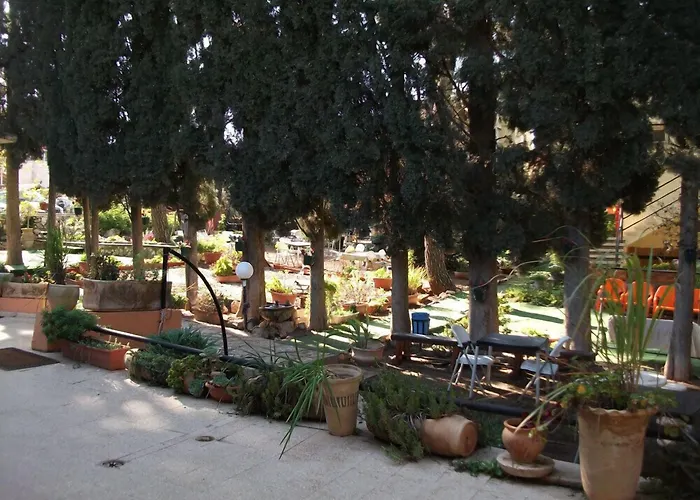 Guest house: Safed Inn