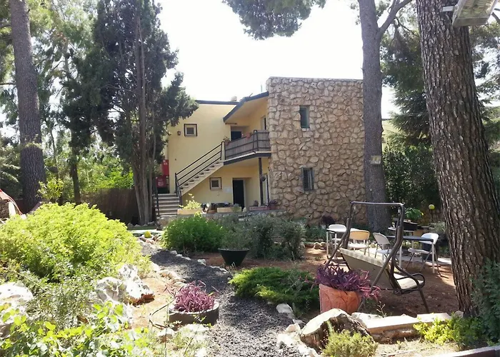 Guest house: Safed Inn
