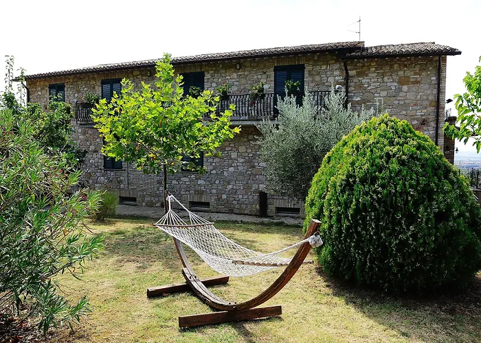 Colle Degli Olivi Snc