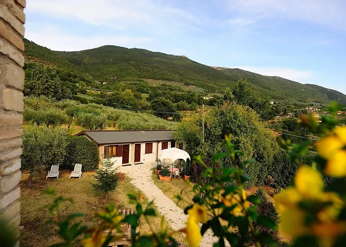 Colle Degli Olivi Snc