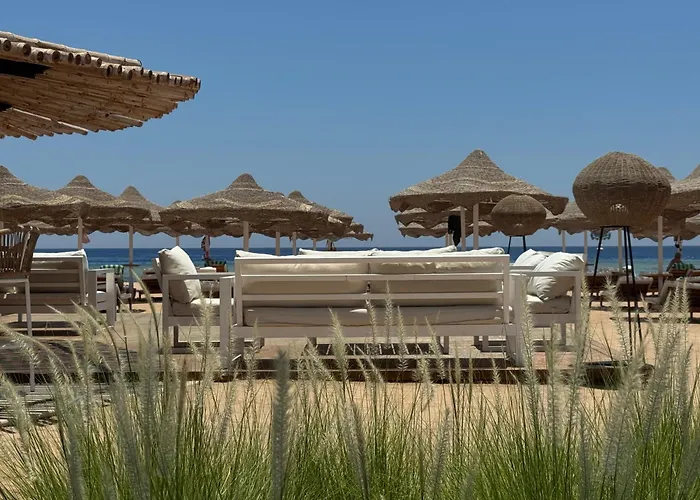 Baron Palms Adults Friendly Only 16 Years Plus Boutique Style