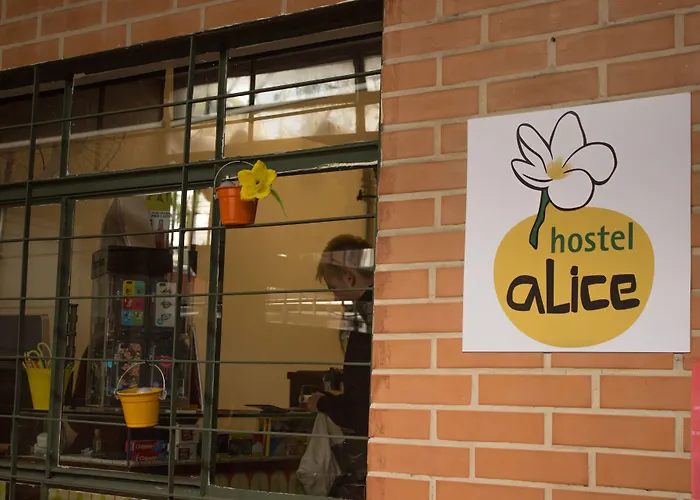 Hostel Alice E Padoca Vegan
