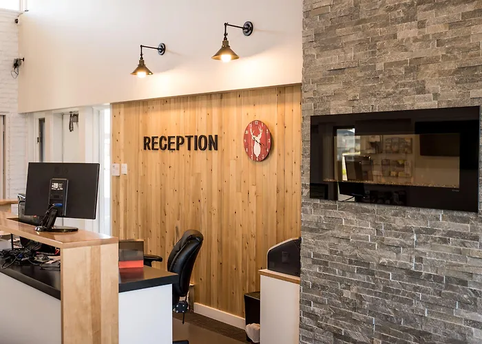 Dog friendly hotels Colonial
