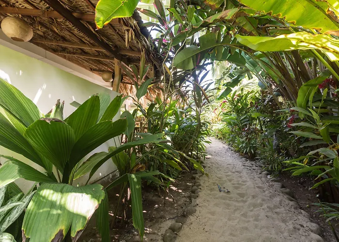 Playa 506 Beachfront Hostel