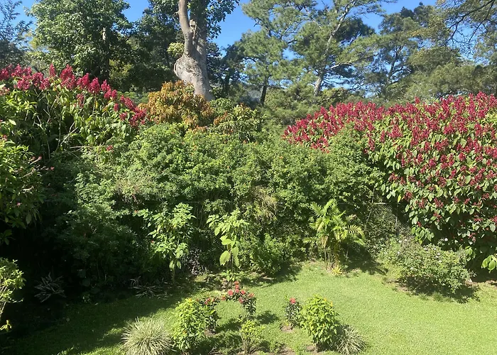 Tierra Magica B&B&Art Studio
