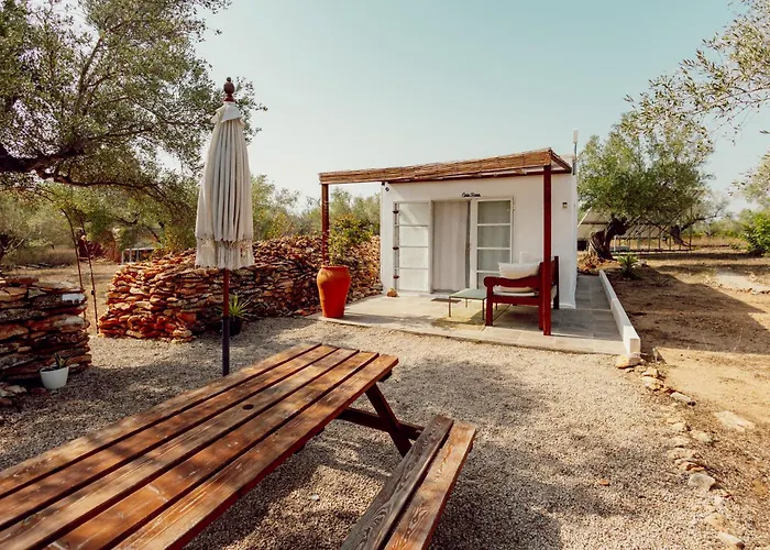 Hotel con vistas: Can Mimosa