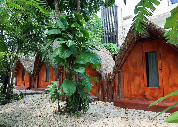El Búho Glamping