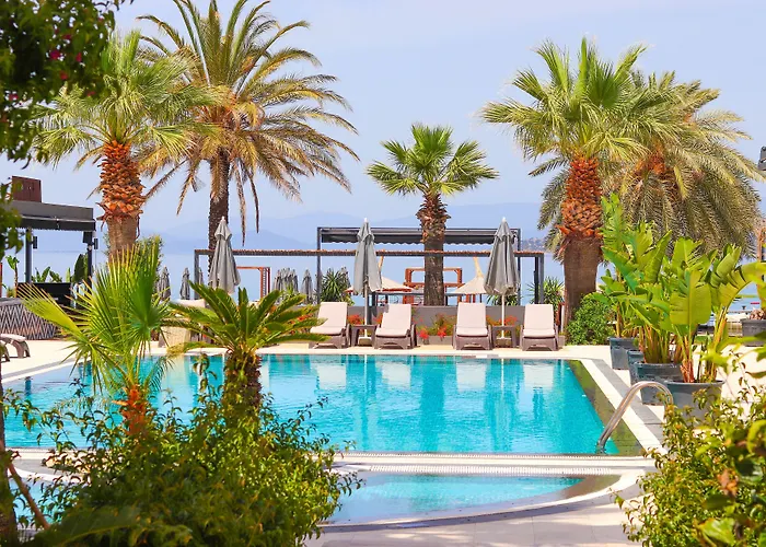 Moyo Luxury & Beach