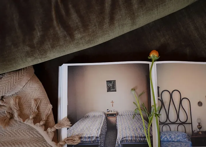 Dog friendly hotels Shila Athens
