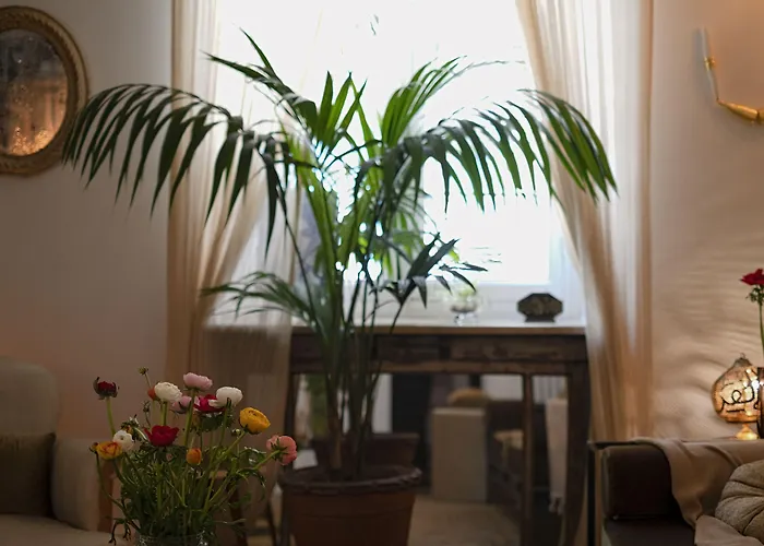 Dog friendly hotels Shila Athens
