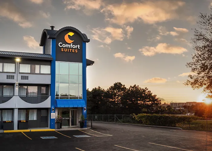 Central hotel: Comfort Suites Kingston Central