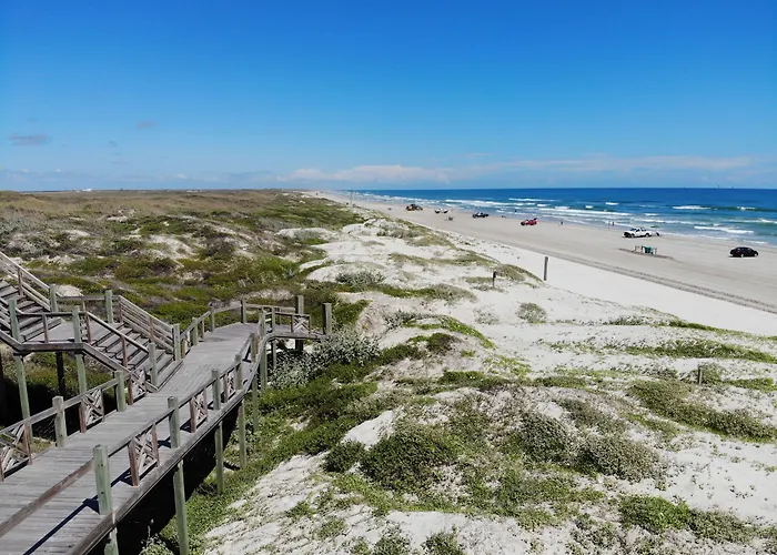 Pet Friendly hotel: Lively Beach