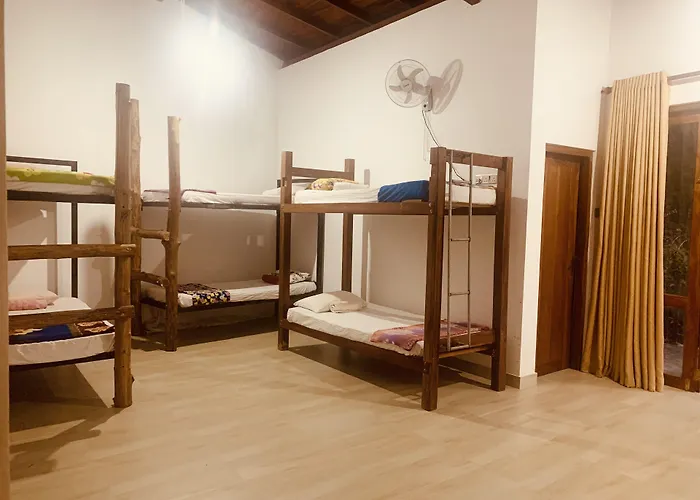 Jungle City Hostel