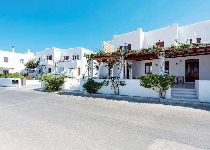 Pets Allowed Hotel Irene - Beachfront