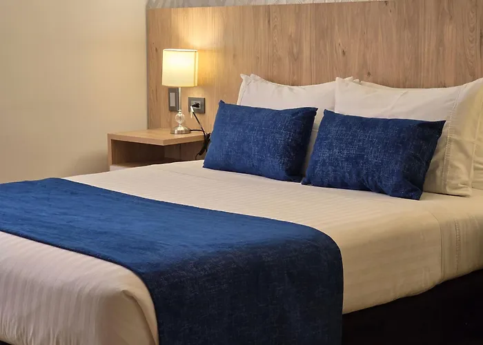 Confort 80 Zona Rosa