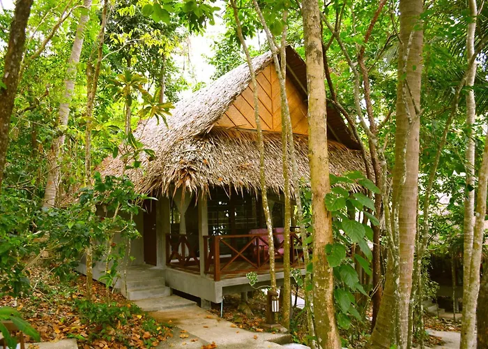 The Narima - Sha Plus