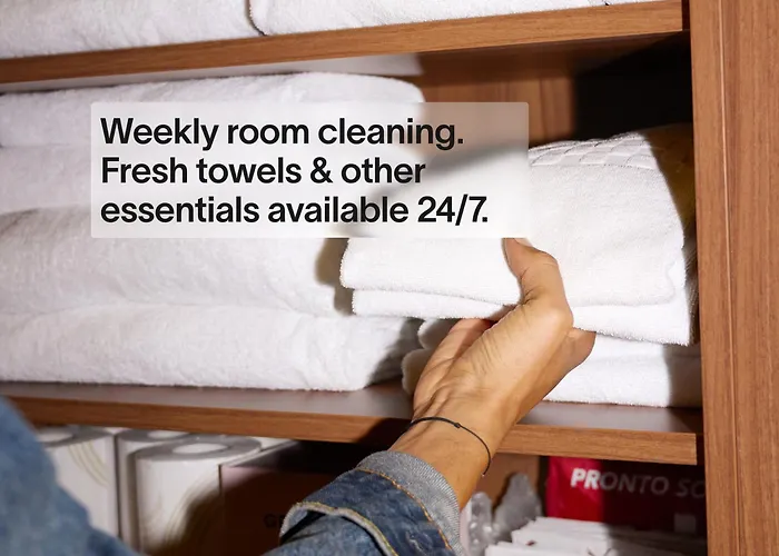 Amsterdam Vondelpark by YAYS