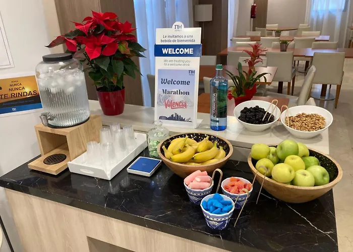 Huisdiervriendelijk hotel: Nh Valencia Las Ciencias