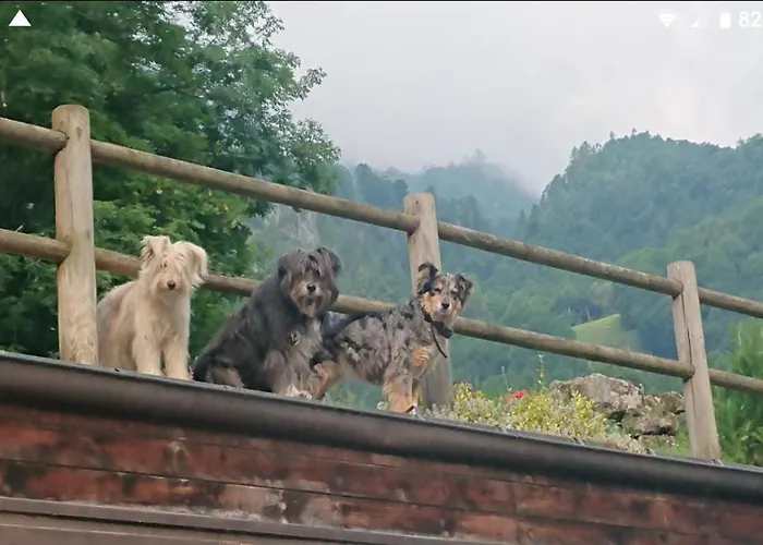 Agriturismo Alagna