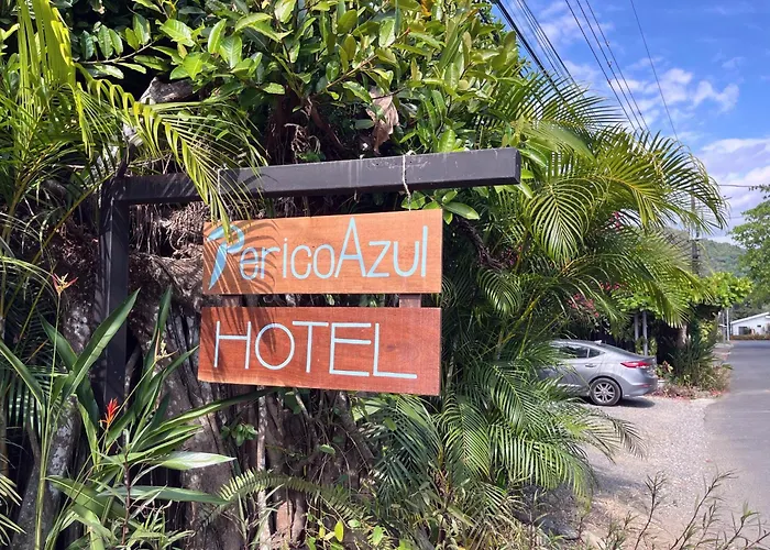 Perico Azul&Surf Camp