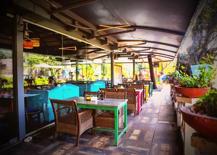 Basilica Resort - Where Luxury Redefines