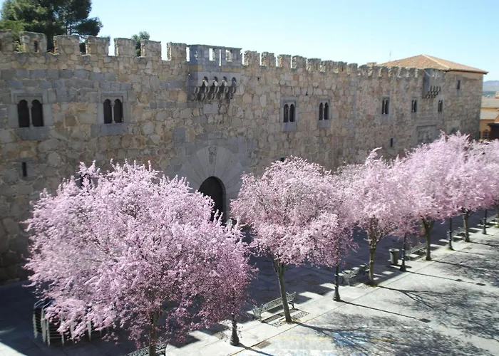 Vut Plaza De La Fruta