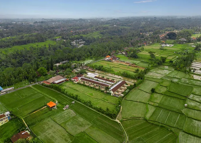 Alam Puisi