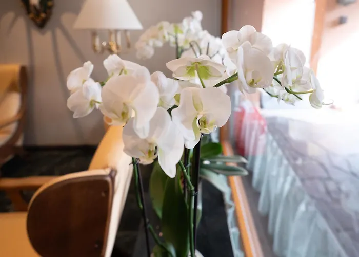 Hotel Garni Haus Arenberg