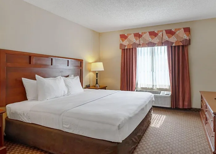 Quality Suites San Antonio Northeast
