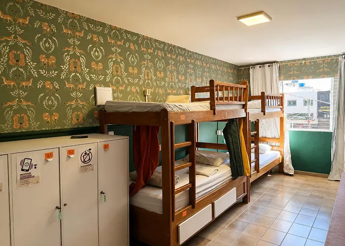 Gayfriendly Hostel Bsb Airport