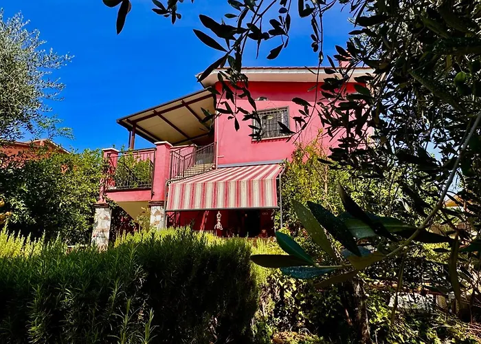 Degli Ulivi