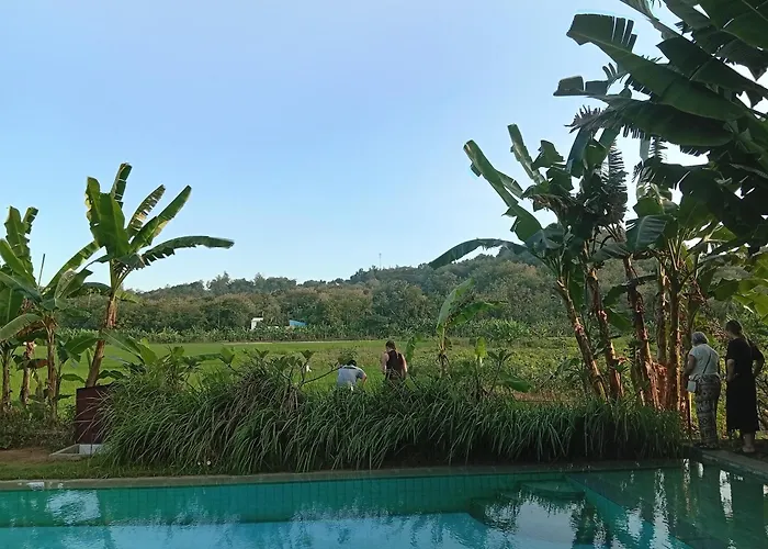 Pension Guide Blue Garden Yogyakarta