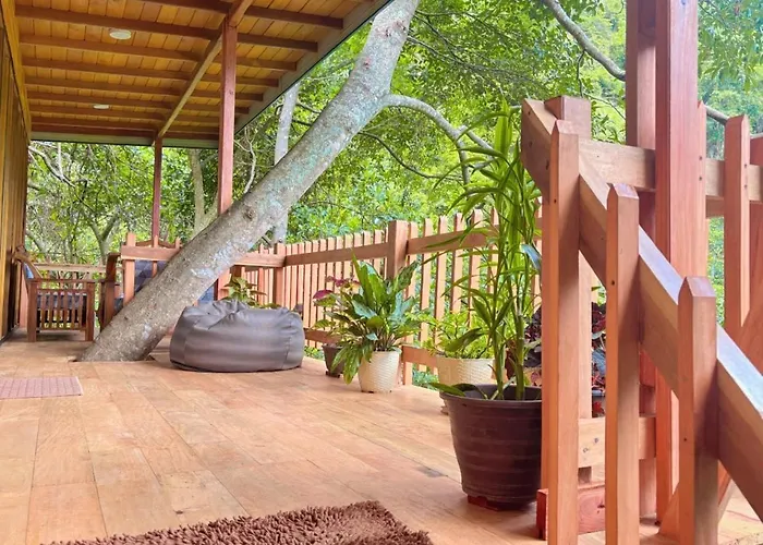 Jungle Face Inn