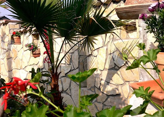 Apartmenthaus Casa Palma