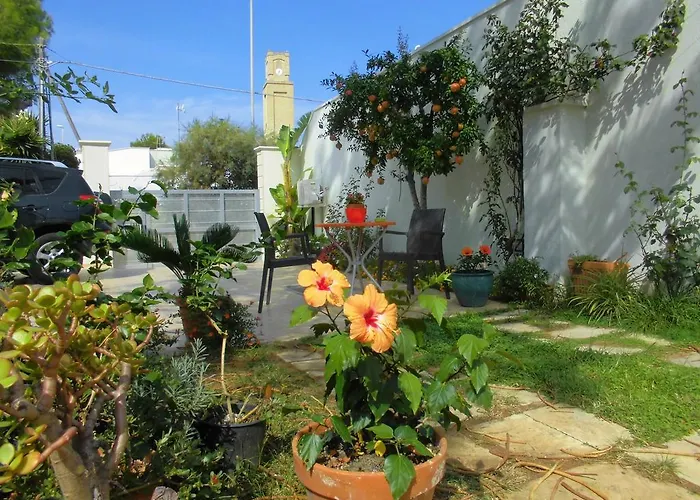 Albergo centrale: Araucaria