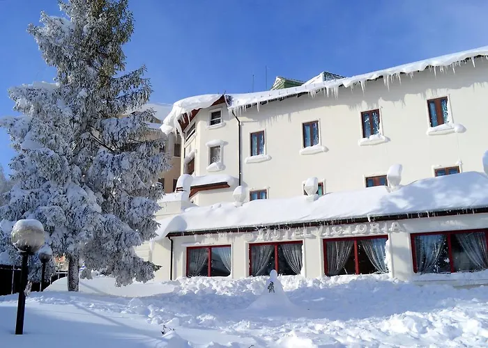 Albergo economico: Hotel Victoria