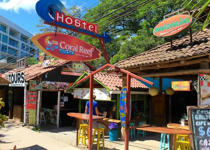 Coral Reef Surf And Camp