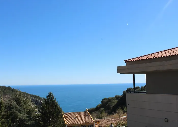 Eza Vista